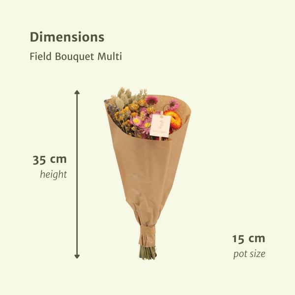 12x Veldboeket Multi - Droogboeket - 35cm - Ø15