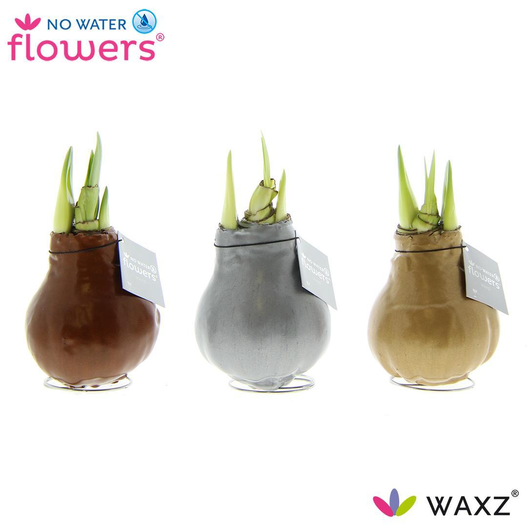 No Water Flowers Waxz Metallic Goud / Zilver / Koper - 3 stuks - Ø7 cm - ↕15 cm