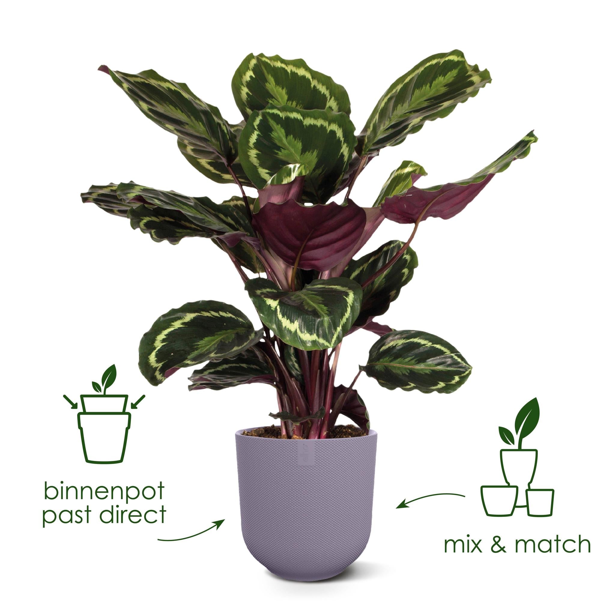 Pot elho Jazz Round toscaans rood - D14 x H13