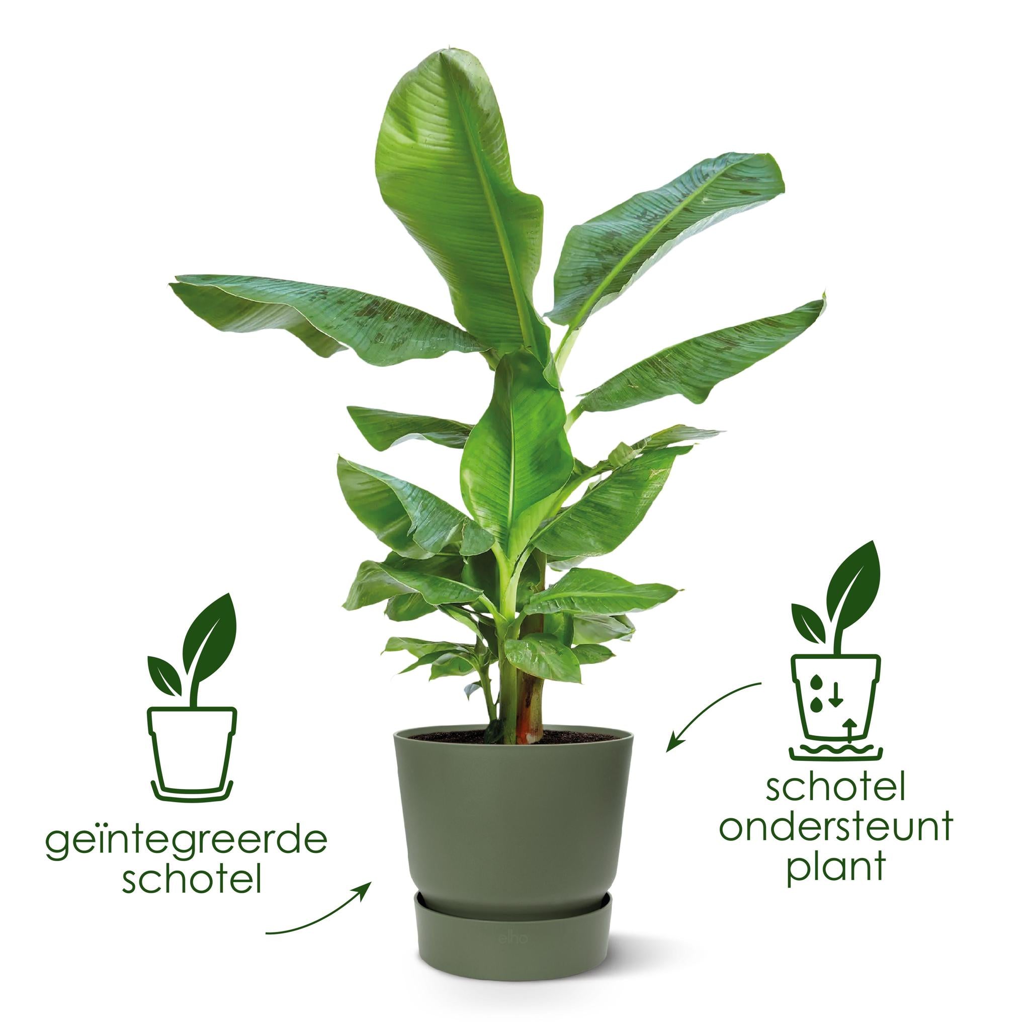 Pot elho Greenville Rond bruin - D39 x H37