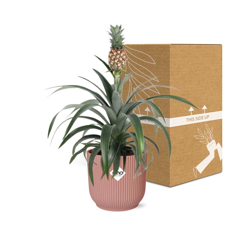 Ananas Mi Amigo in ELHO Vibes Fold 14cm roze