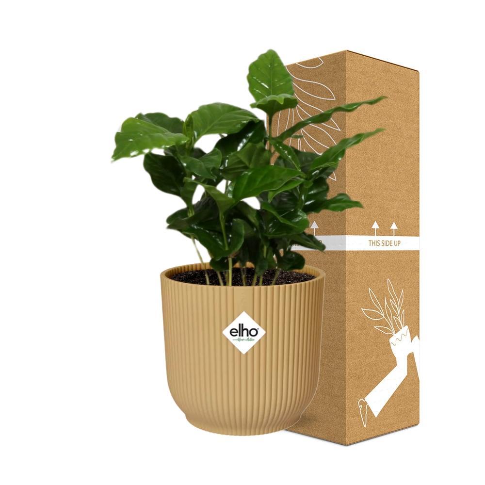 Koffie Arabica in ELHO Vibes Fold 14cm geel