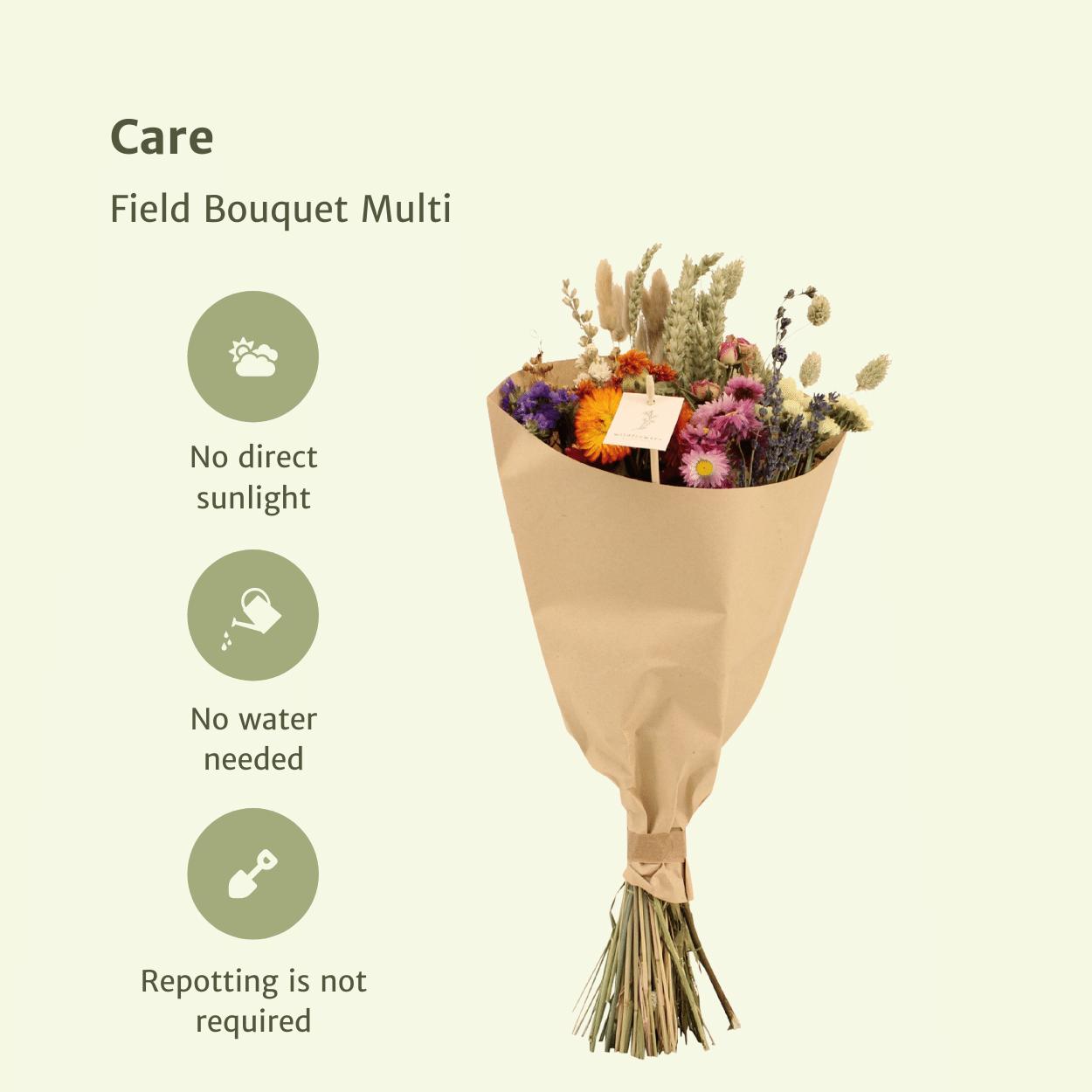 Droogbloemen Veldboeket Multi - Ø20 - ↨50cm