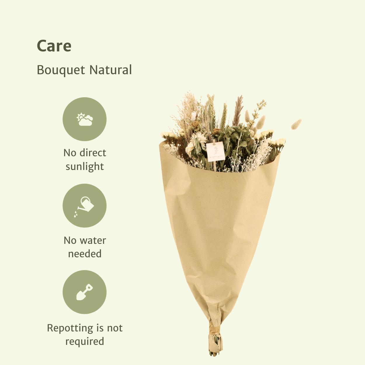 Droogbloemen Veldboeket Naturel - Ø25 - ↨60cm