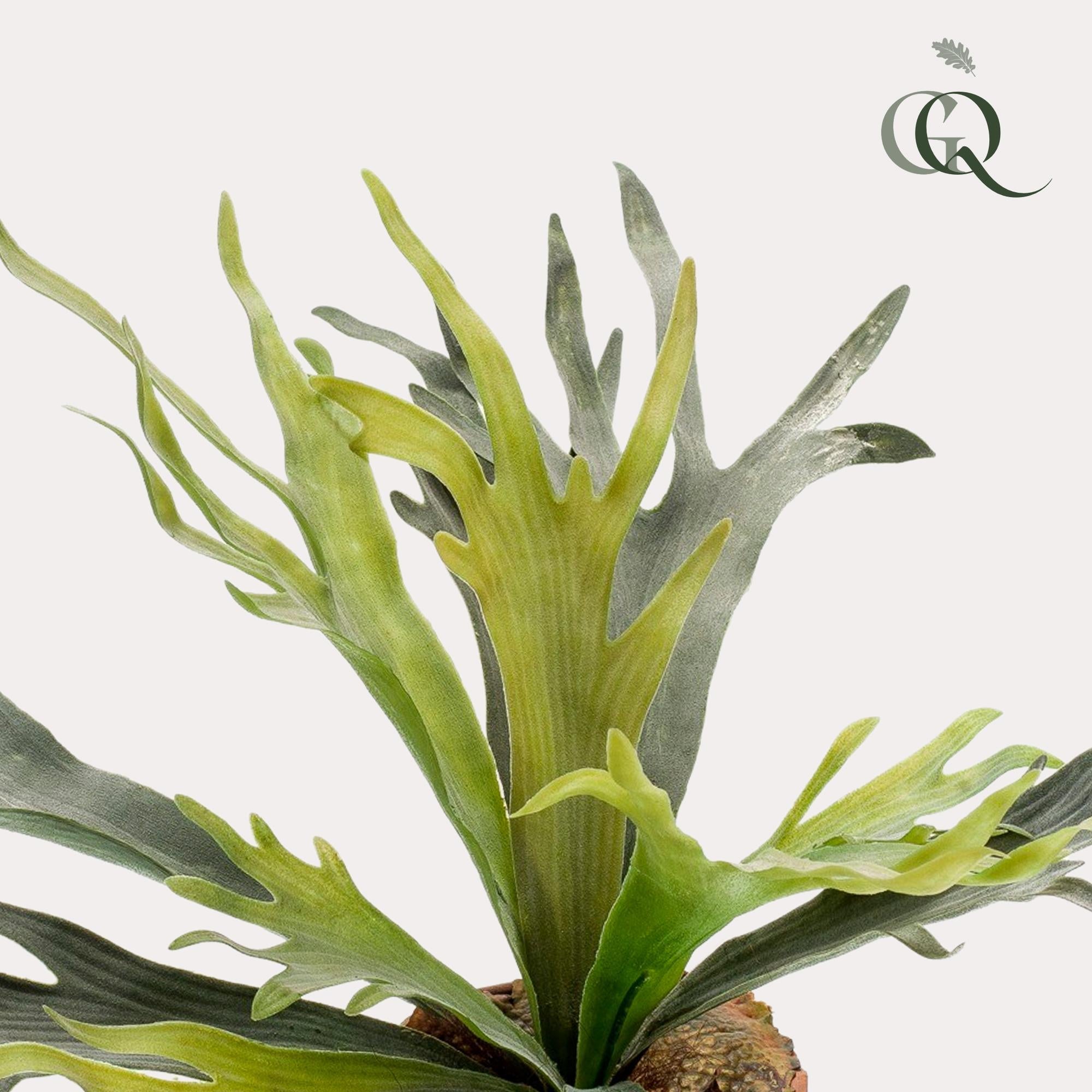 Kunstplant - Hertshoornvaren - Hertshoorn - 50 cm
