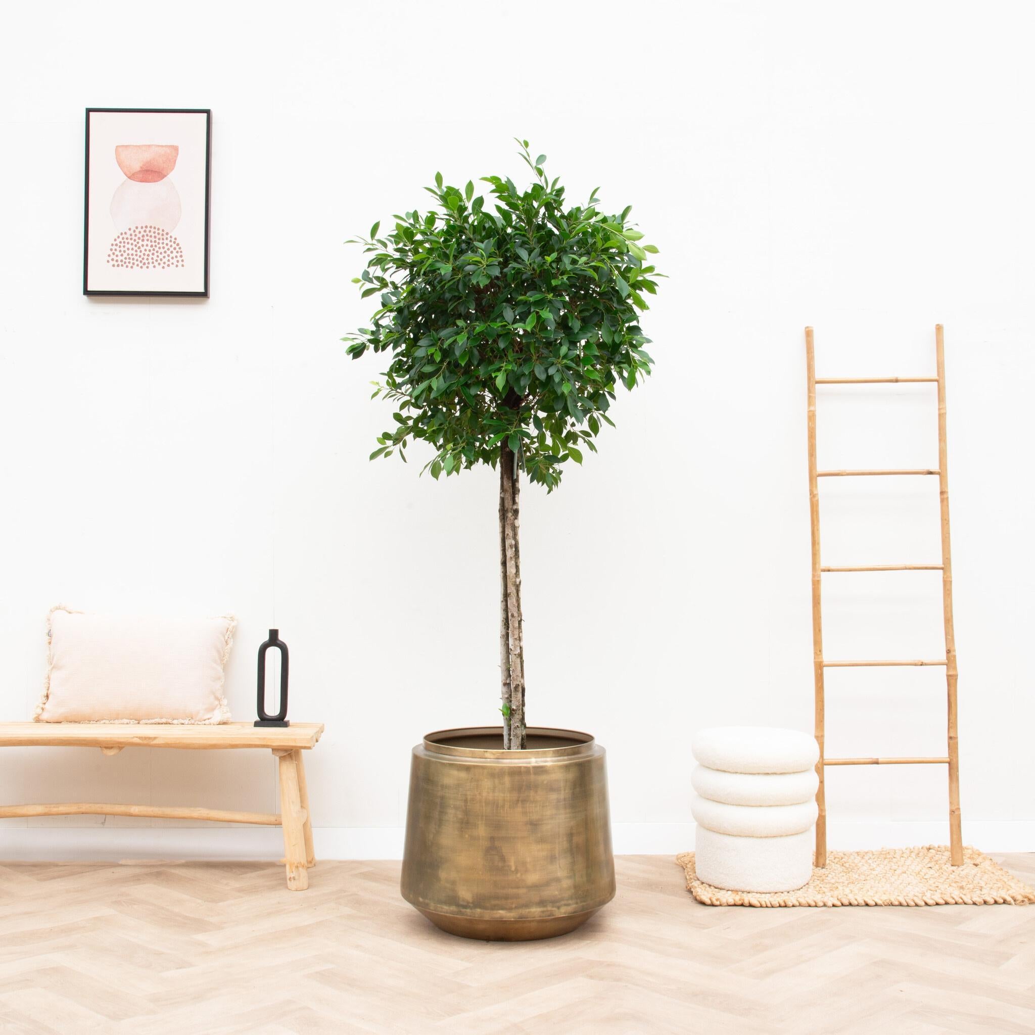 Pot Indigo Vintage Goud - D46 x H41