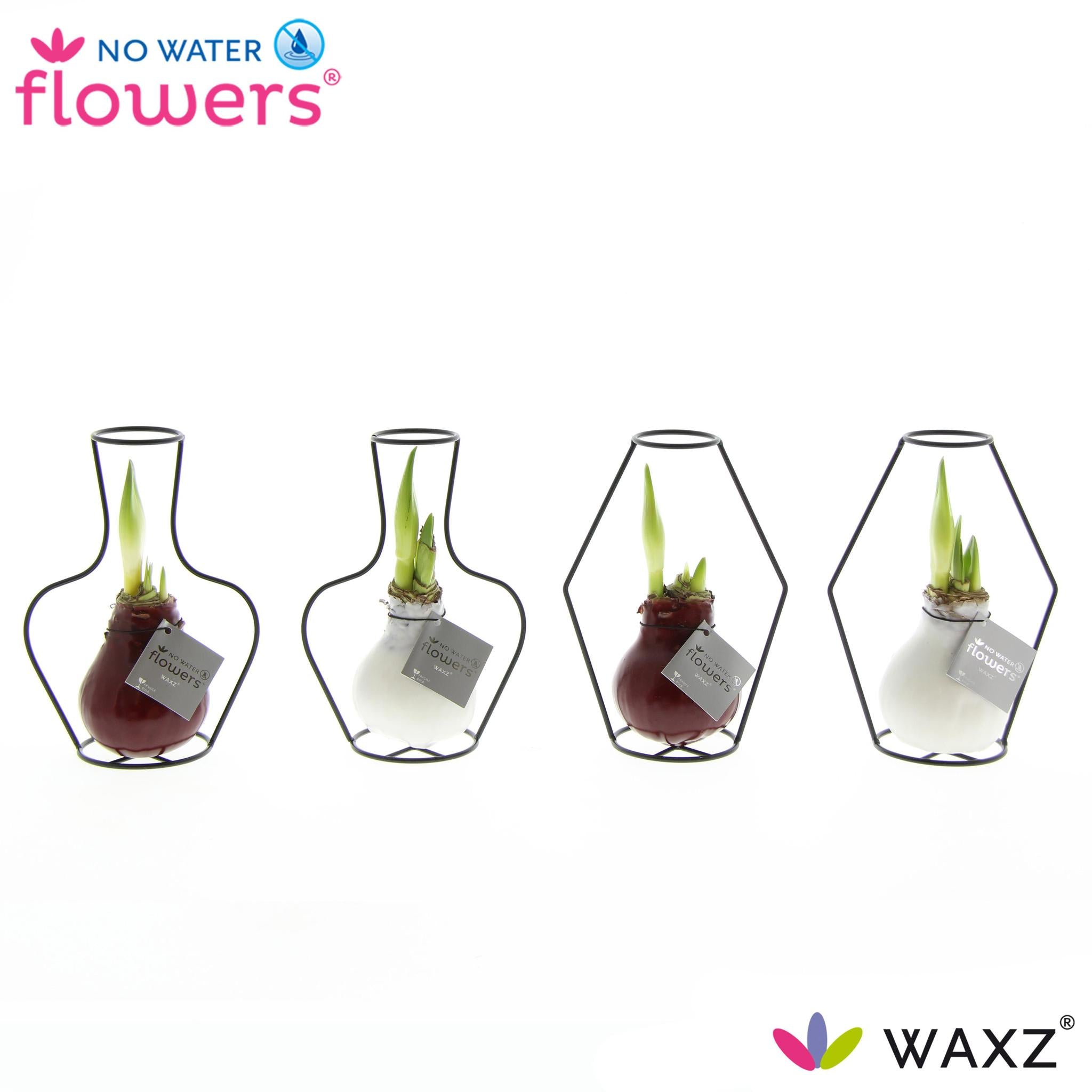 Geen Water Bloemen Waxz Formz Classic Mix - 4 stuks - Ø7 cm - ↕15 cm