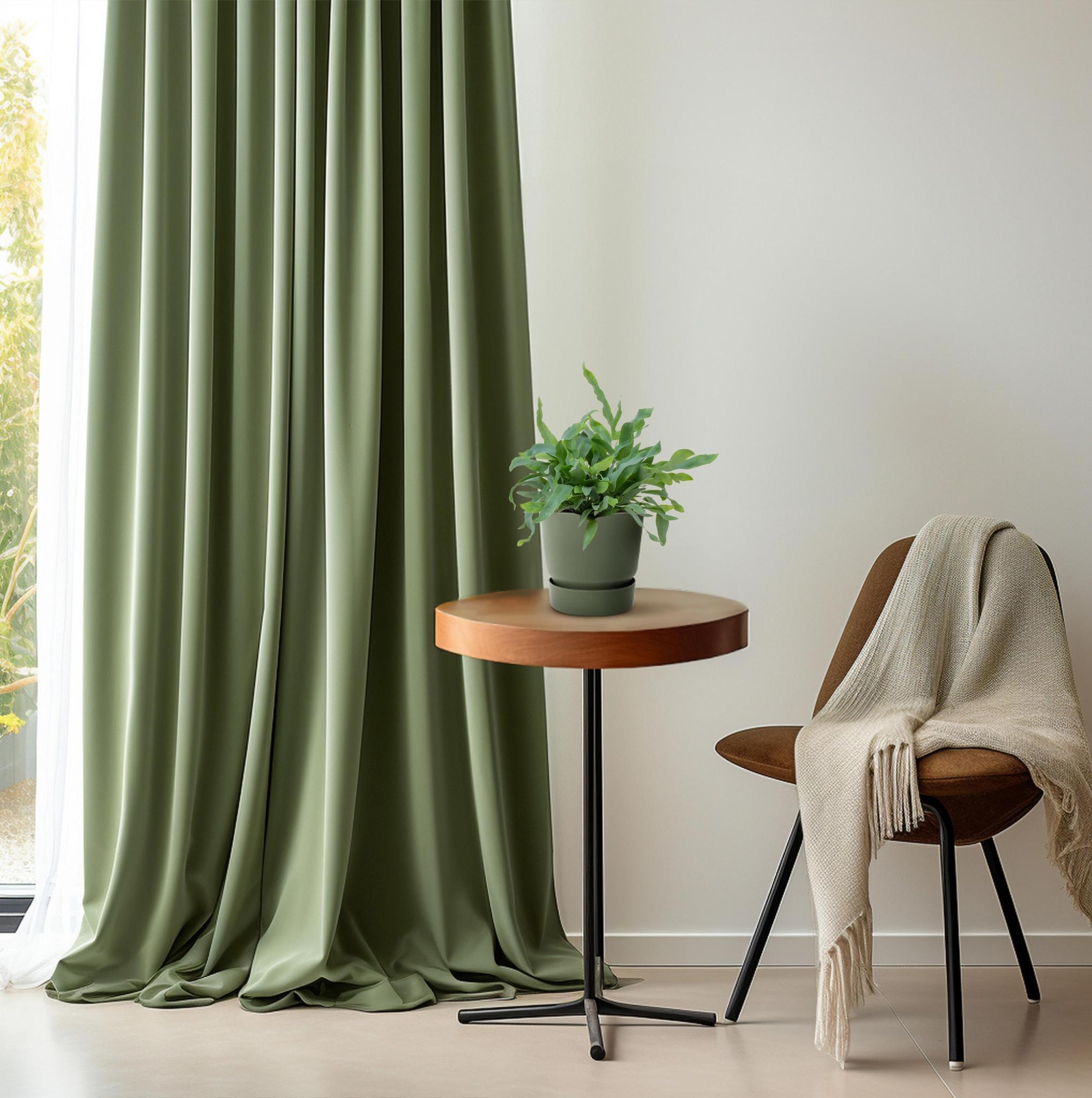 Phlebodium Blauwe Ster 12cm - Ø12cm - ↕32cm