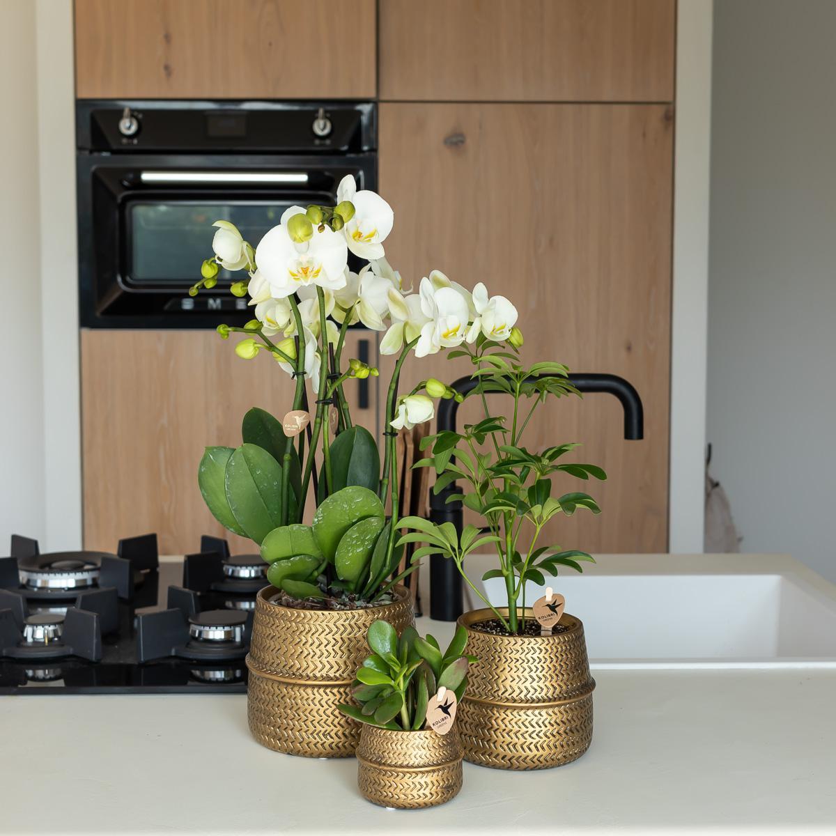 Pots and baskets