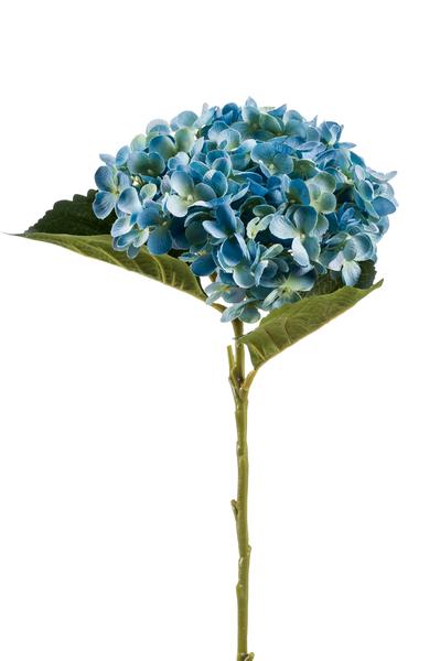 Kunstbloemen Solo - Blau - Hortensienblüte - x 8 - 52 cm