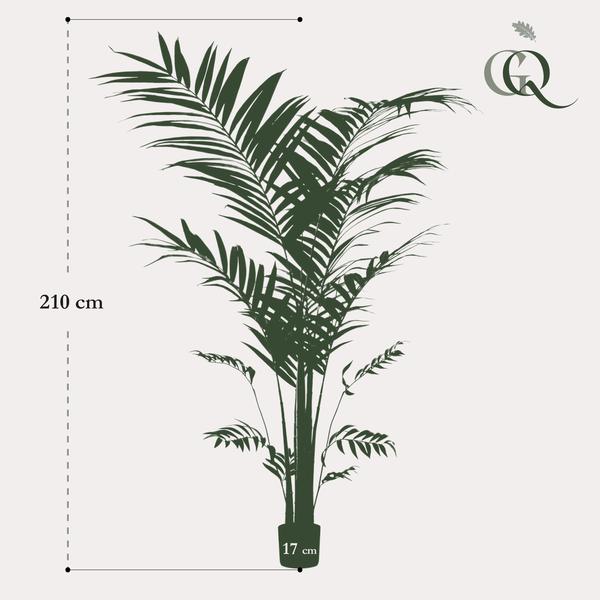 Kunstplant - Kentia - Kentiapalm - 210cm
