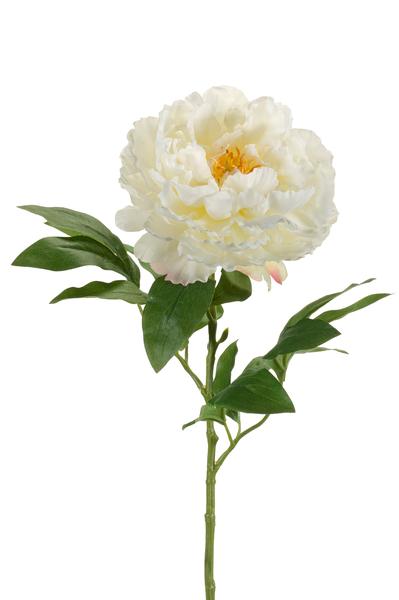 Kunstbloemen Solo - Crème - Pioenrozen - x 5 - 65cm