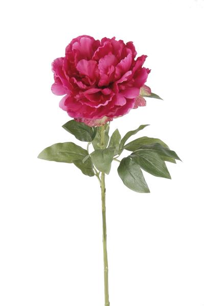 Kunstbloemen Solo – Dunkelrosa – Pfingstrosen – x 5 – 65 cm