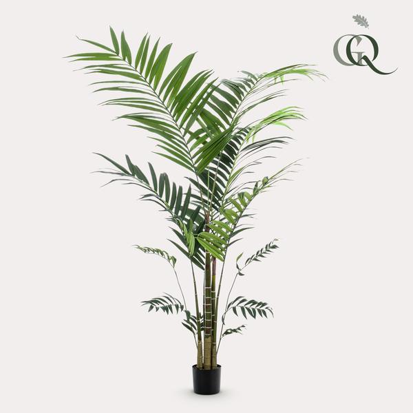 Kunstplant - Kentia - Kentiapalm - 210cm