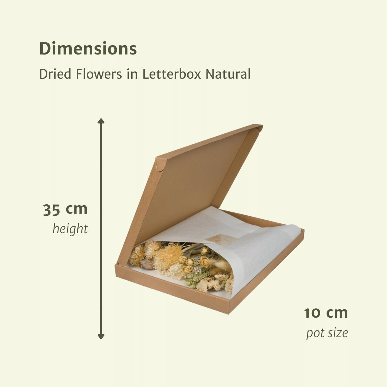 Droogbloemen in Brievenbus Multi - Naturel