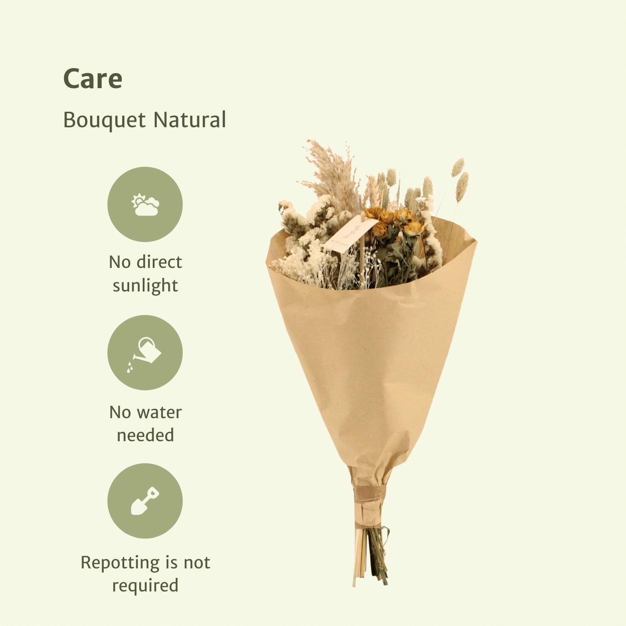 Droogbloemen Veldboeket Naturel - Ø20 - ↨50cm
