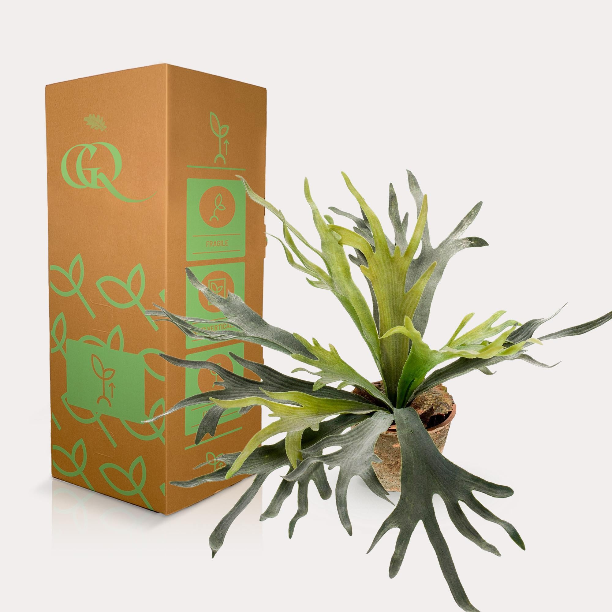 Kunstplant - Hertshoornvaren - Hertshoorn - 50 cm