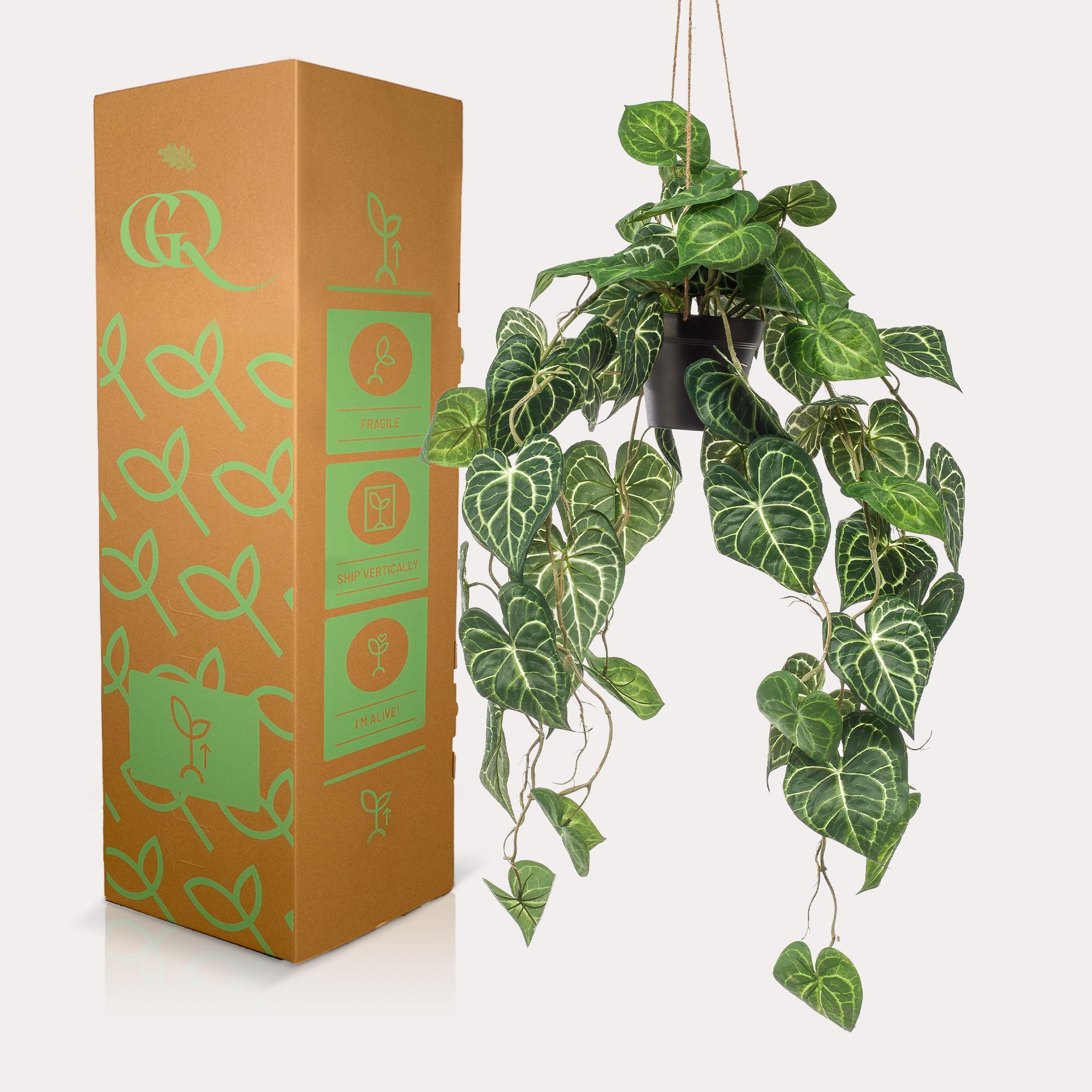 Kunstplant - Anthurium Clarinervium - Adelaarplant - 80 cm