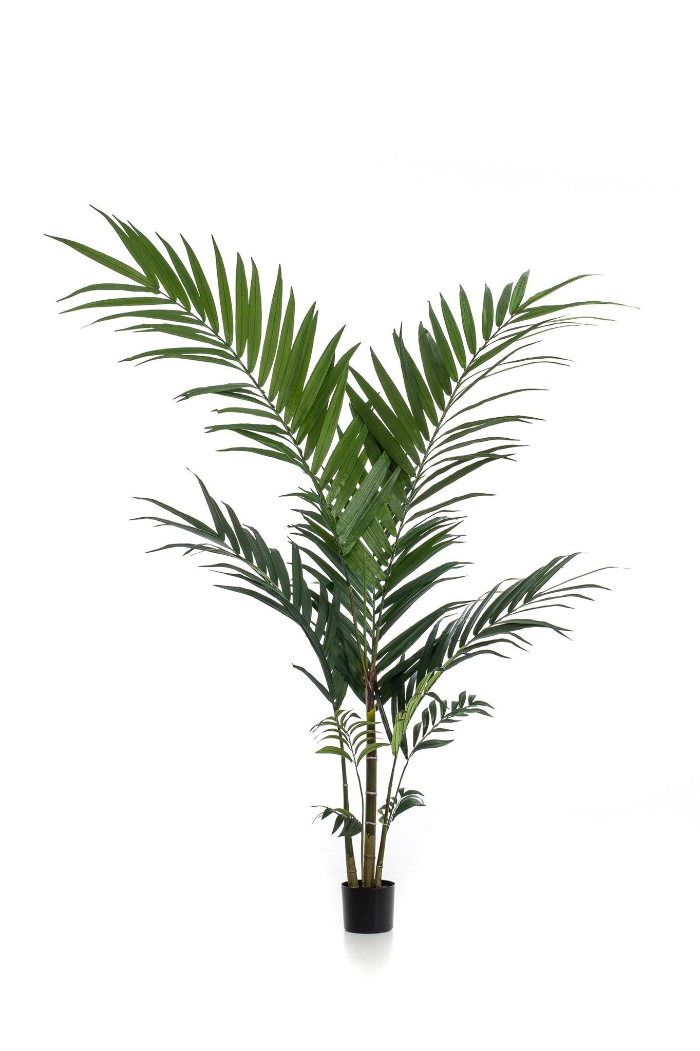 Kunstplant - Kentia - Kentiapalm - 150cm