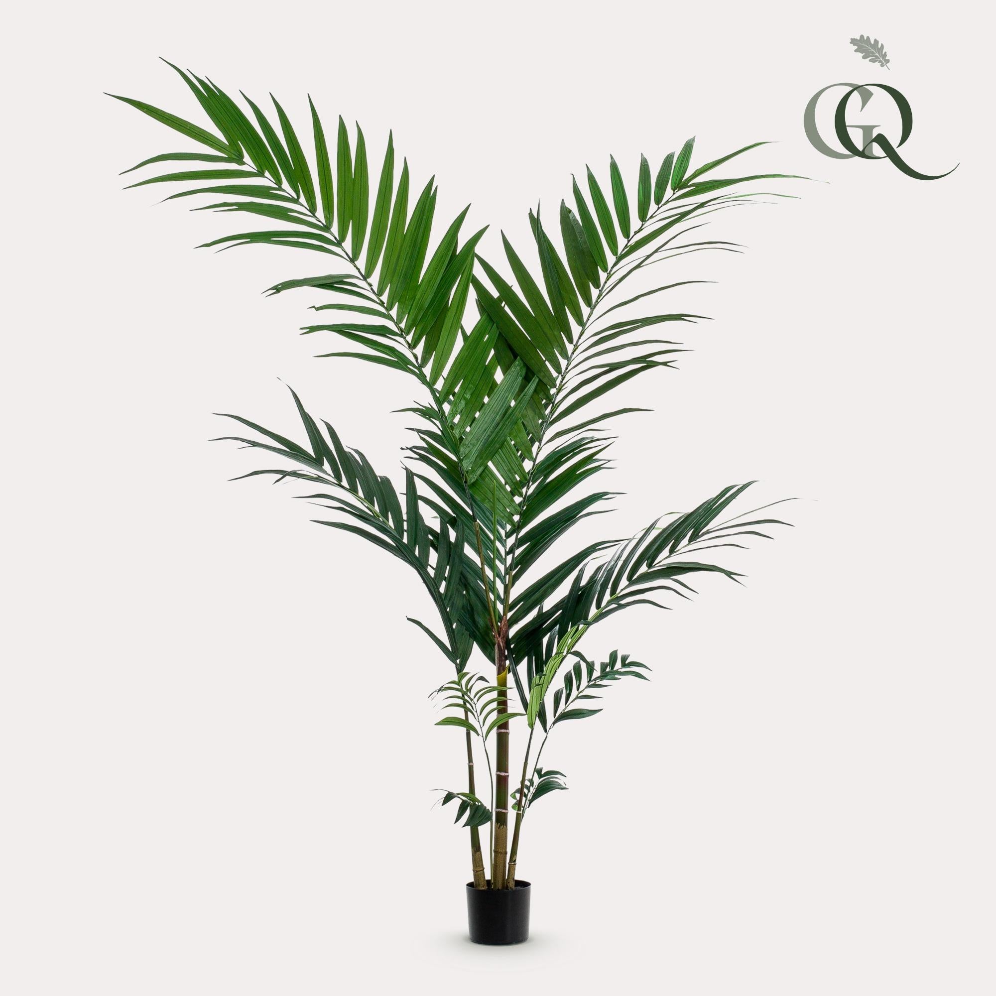 Kunstplant - Kentia - Kentiapalm - 150cm