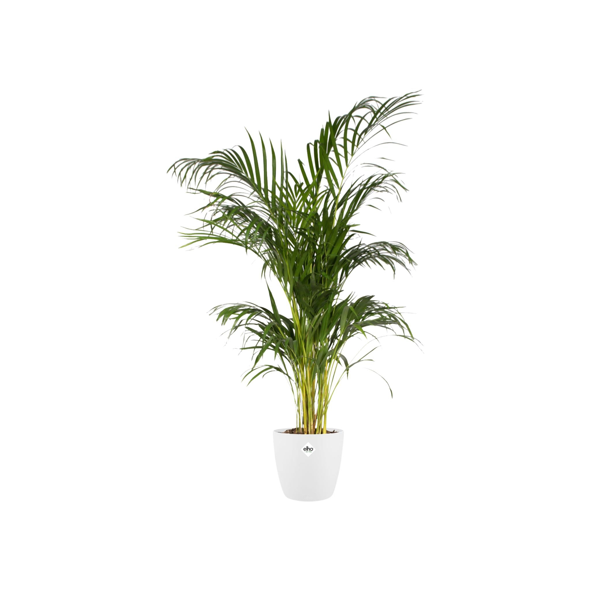 Pot elho Brussels Rond Wit D30 x H27