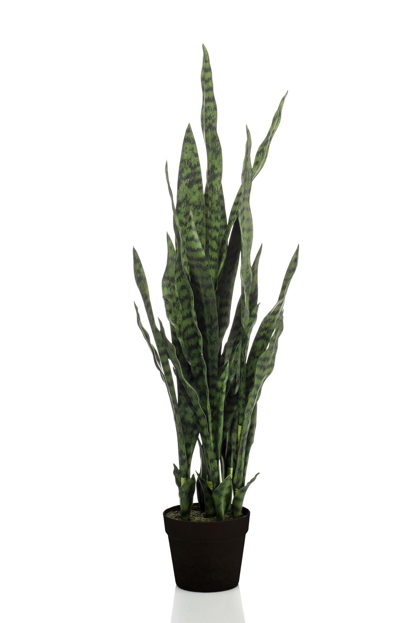 Kunstplant - Sanseveria zwart koraal - Vrouwentong - 97 cm