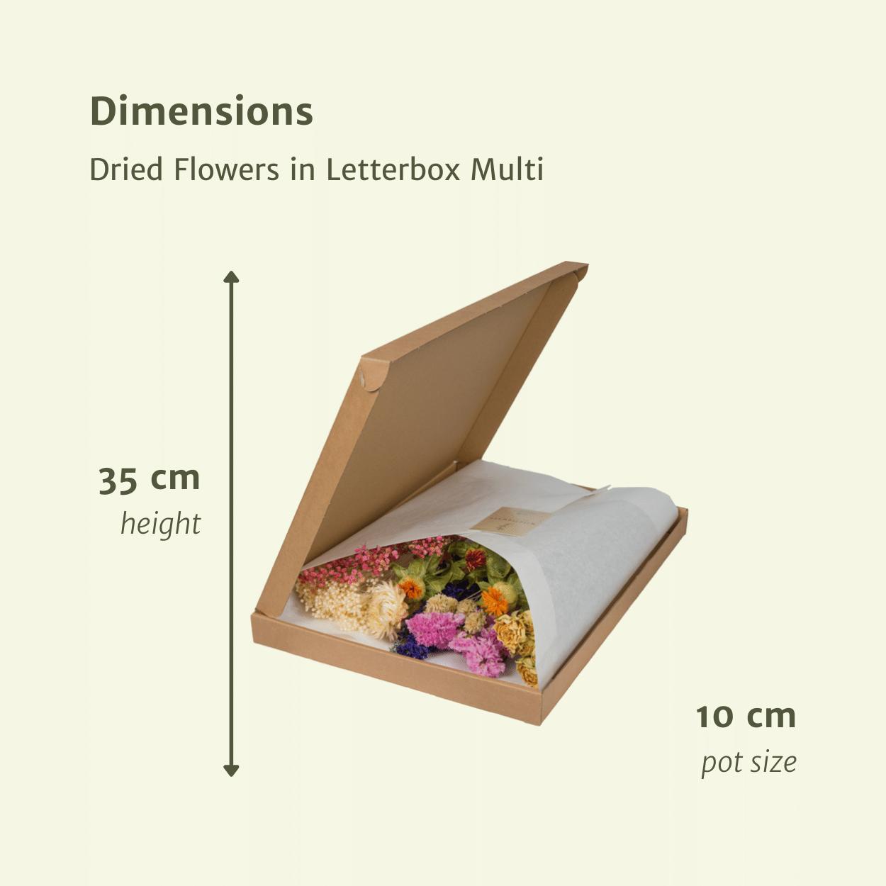 Droogbloemen in Brievenbus Multi - Multi
