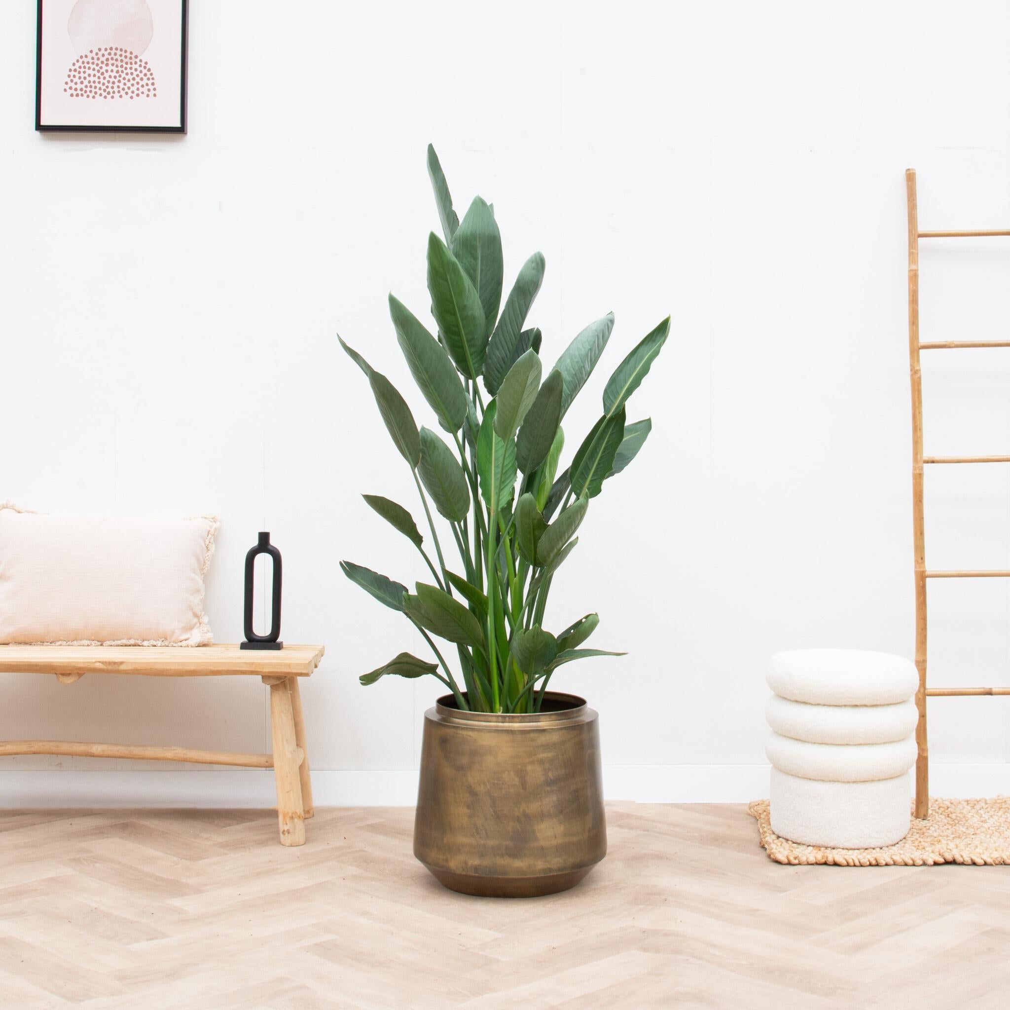 Pot Indigo Vintage Goud - D46 x H41