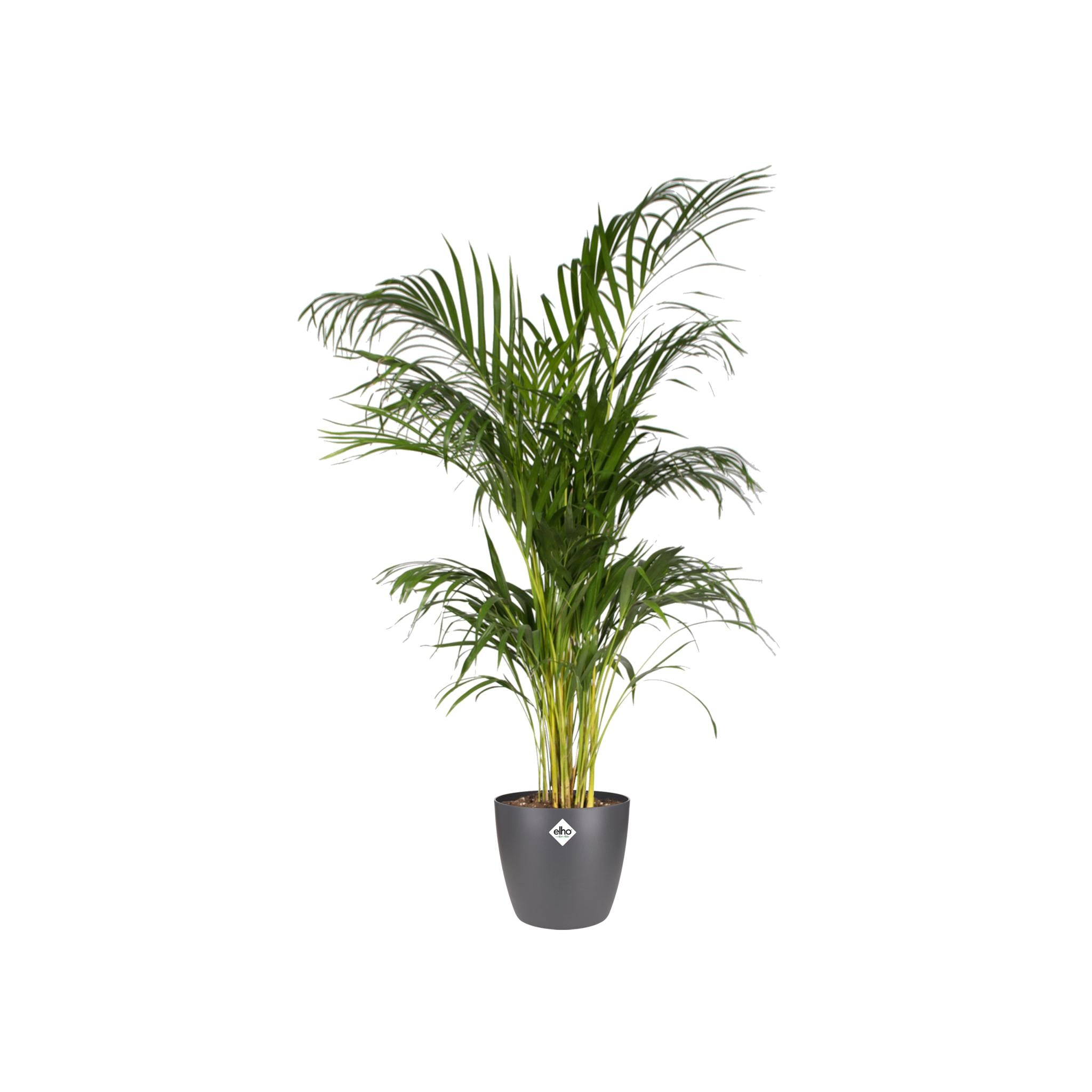 Pot elho Brussels Rond Antraciet D20 x H19
