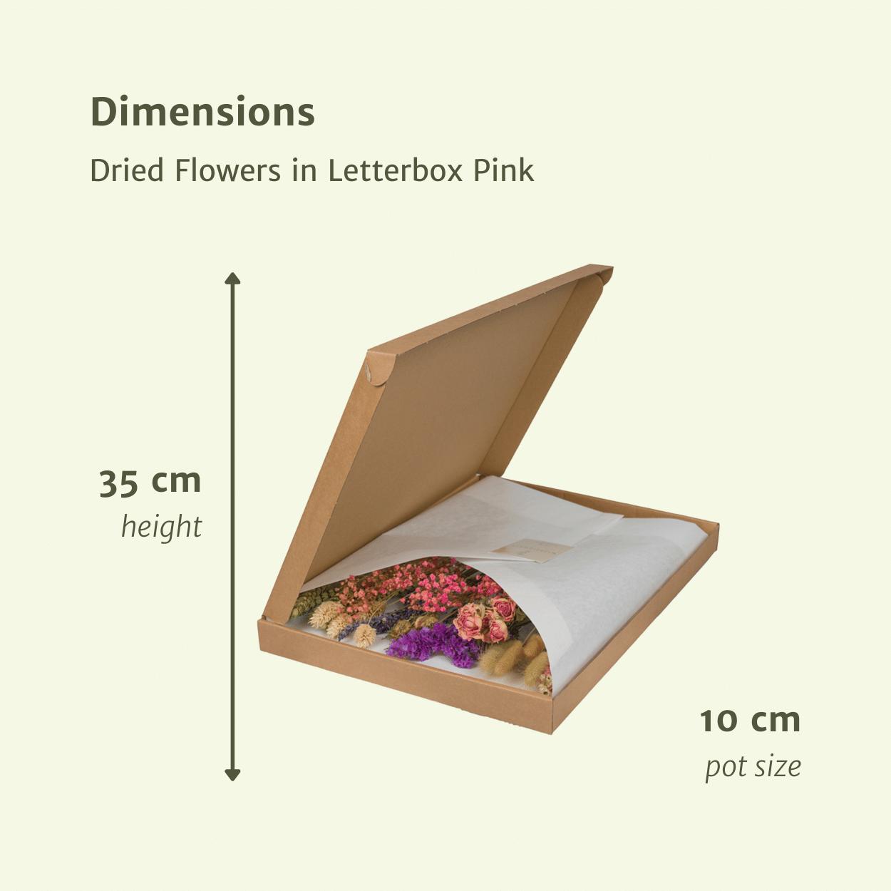 Droogbloemen in Brievenbus Multi - Roze