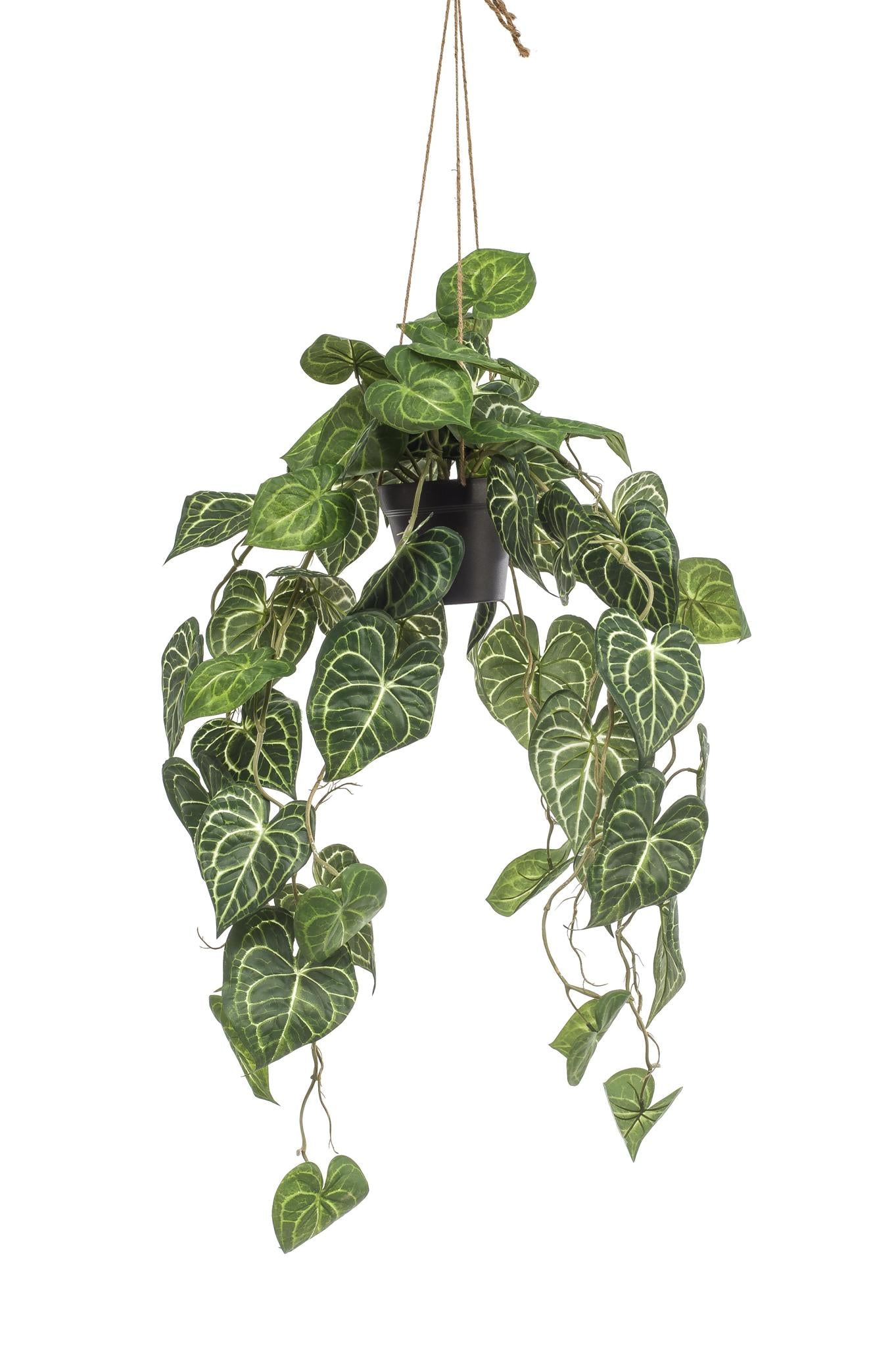 Kunstplant - Anthurium Clarinervium - Adelaarplant - 80 cm