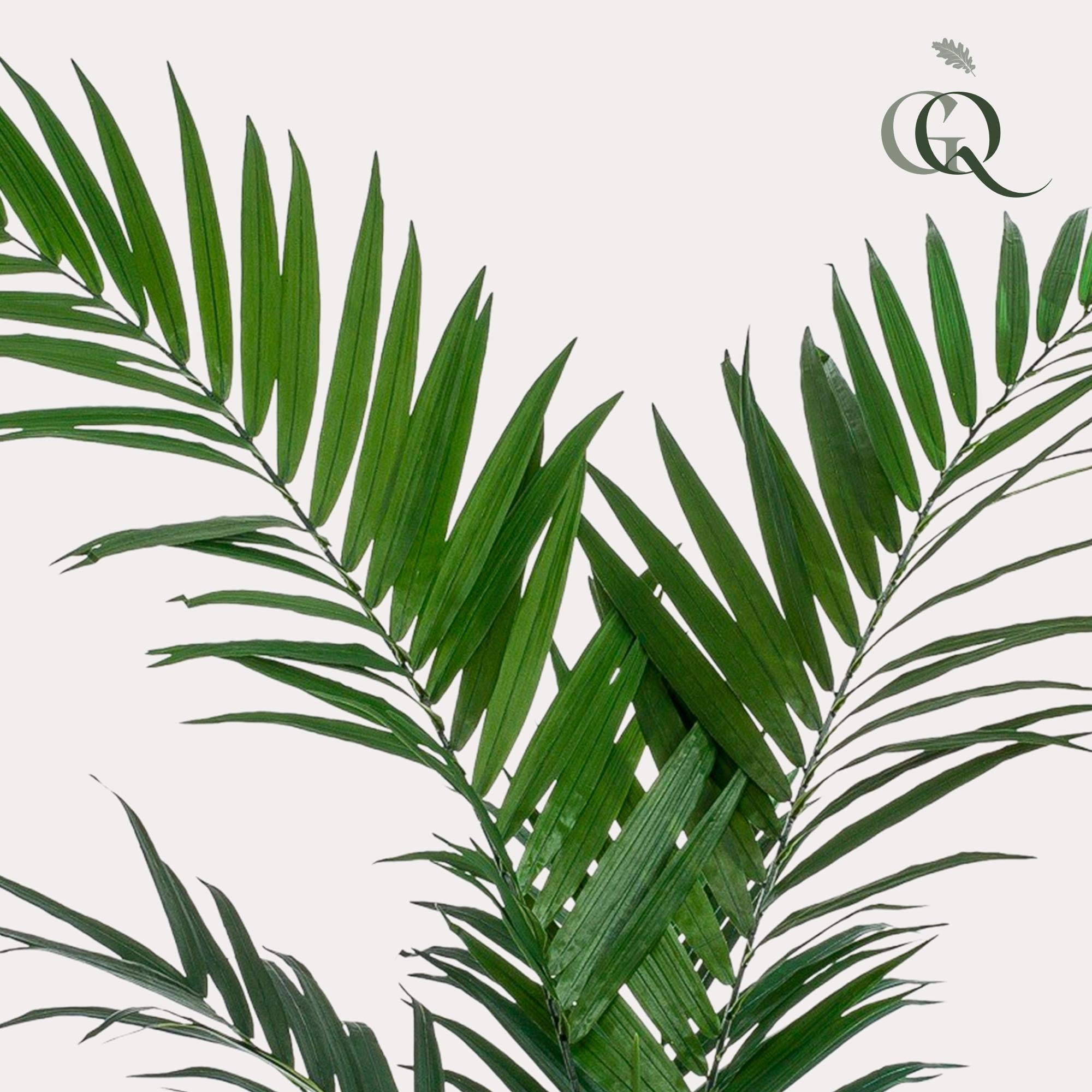 Kunstplant - Kentia - Kentiapalm - 150cm