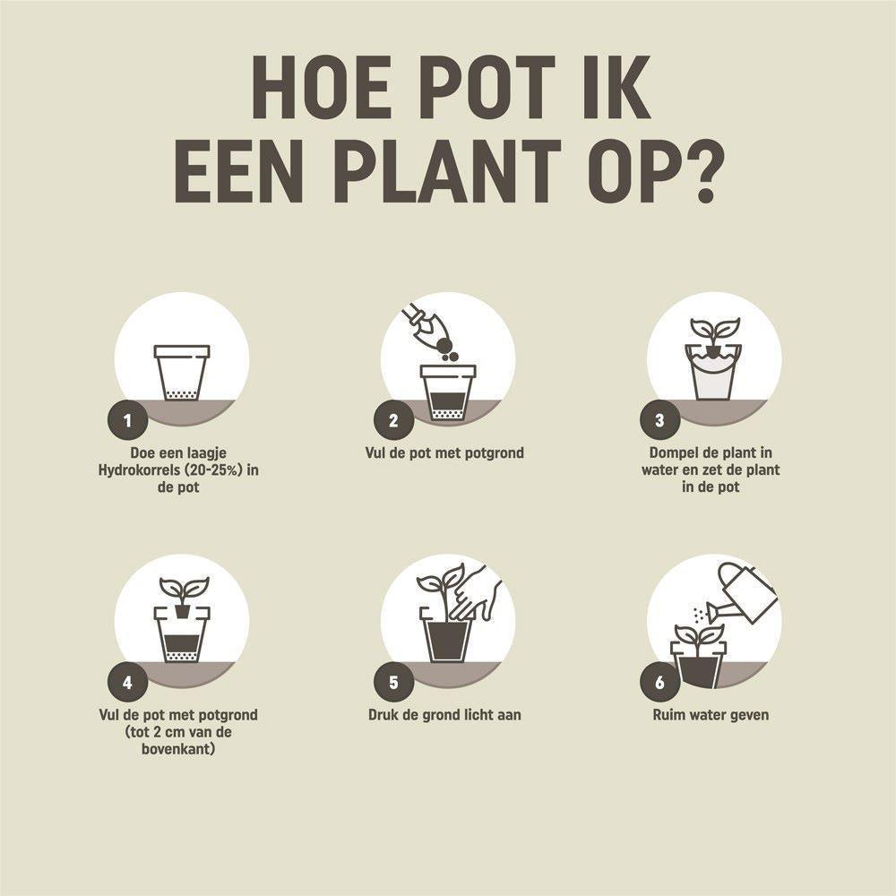 Pokon cactus &amp; vetplant - 5L - Potgrond